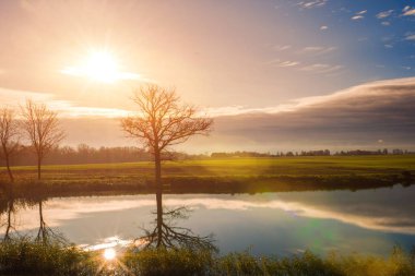 Günbatımında gölün üzerinde tek başına ağaç 