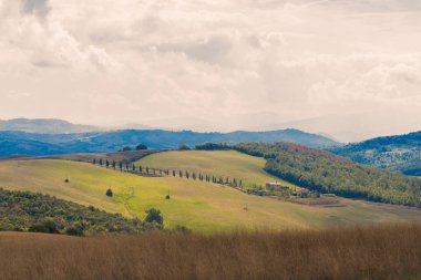 dağlarda sonbahar tepeleri.
