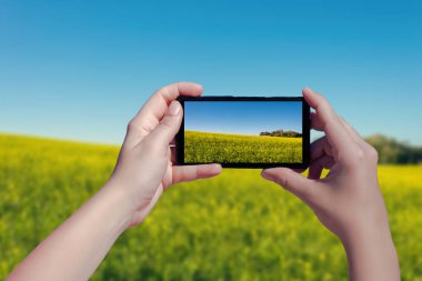 Cep telefonunda sarı çiçekli yaz tarlasının fotoğrafını çeken bir kadın..  