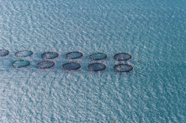 Mavi arkaplanda kot pantolon.