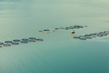 Akdeniz 'deki balık çiftliği. Kefalonia Adası, Yunanistan