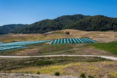 Tarladaki seraların hava manzarası
