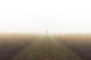 Bastonlu ve köpekli bir adam sisin ortasında, tarlanın ortasında. Atmosferik fotoğrafçılık