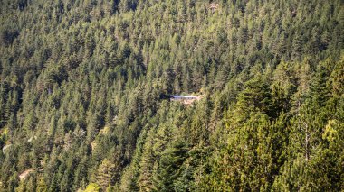 Ladin ormanının ortasında yapayalnız bir evin arka planı ve dokusu