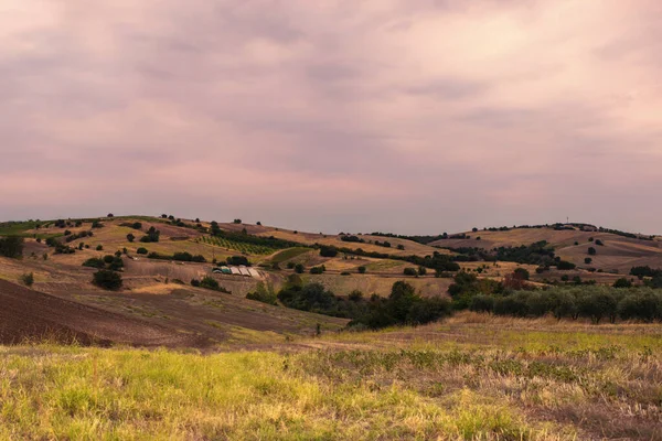 Yunanistan Kırsal Kesiminin Manzarası Yunanistan Tarımsal Tarımsal Makineler — Stok fotoğraf