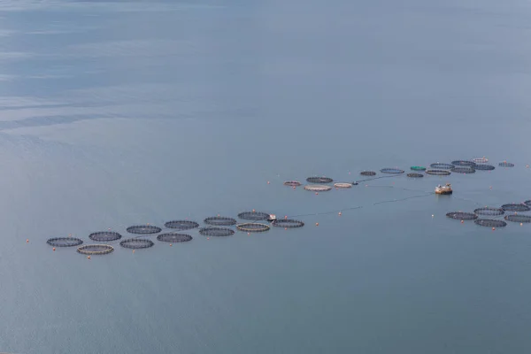 Fish Farm in the mediterranean Sea. the Kefalonia Island, Greece