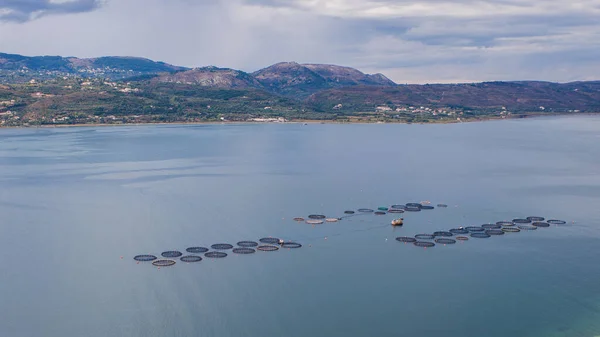 Fish Farm in the mediterranean Sea. the Kefalonia Island, Greece