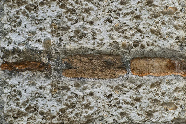 Texture Limestone Surface Brick Shape Shells Starfish — Stock Photo, Image