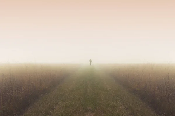 Hombre Con Bastón Perro Camino Medio Del Campo Niebla Fotografía — Foto de Stock