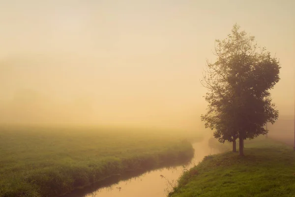 Árbol Campo Con Río Niebla Fotografía Atmosférica — Foto de Stock