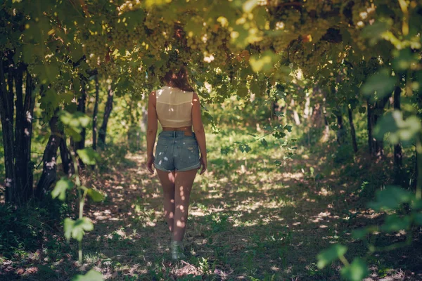 美しい女の子ですショートパンツとトップでブドウ畑で暖かい晴れた夜 — ストック写真