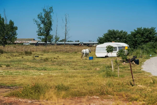 Cavallo Camper Nel Prato Grecia — Foto Stock