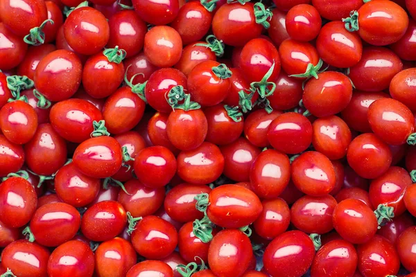 Hintergrund Kleiner Gewaschener Roter Tomaten — Stockfoto