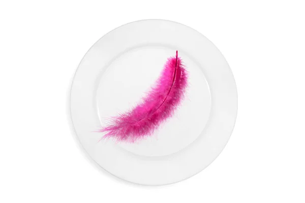Top View Plate Pink Feather White Background Concept Healthy Light — Stock Photo, Image
