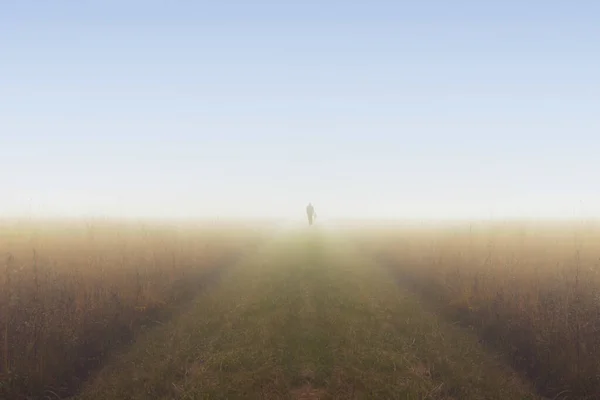 Homem Com Uma Bengala Cão Caminho Meio Campo Nevoeiro Fotografia — Fotografia de Stock