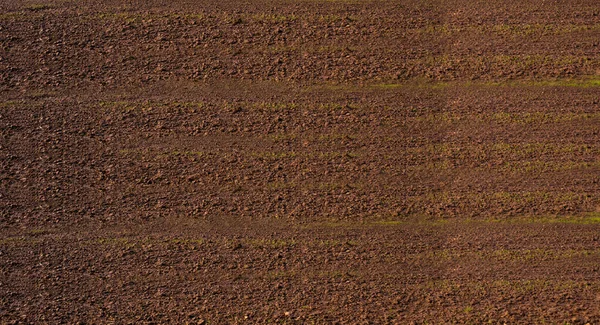 Aerial view of rows of soil of field before planting.Furrows row pattern in a plowed field prepared for planting crops