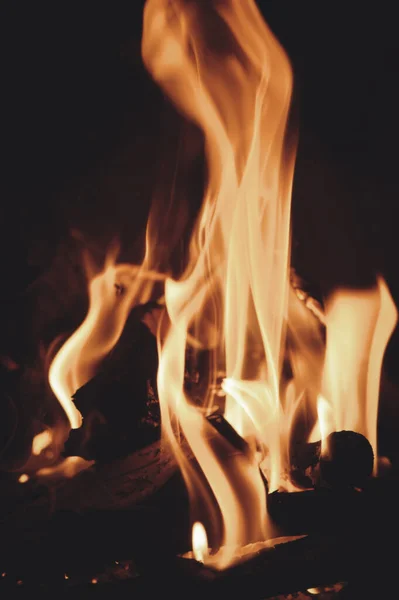 在壁炉里烧木柴的特写 — 图库照片