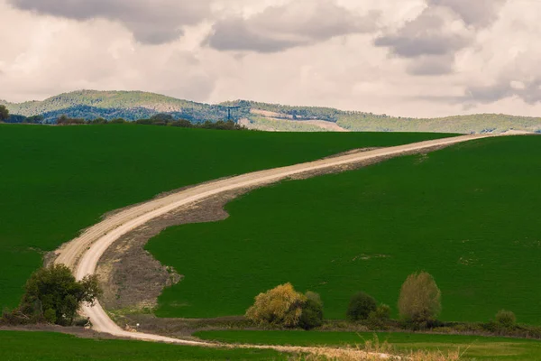 Krásná Golfová Krajina Zelenou Trávou — Stock fotografie