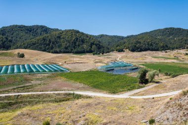 Tarladaki seraların hava manzarası