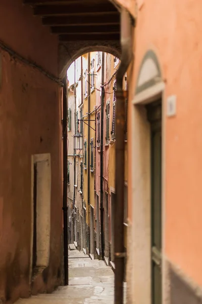 Calle Estrecha Con Edificios Coloridos Pequeño Pueblo Colorido Lerici Liguria — Foto de Stock