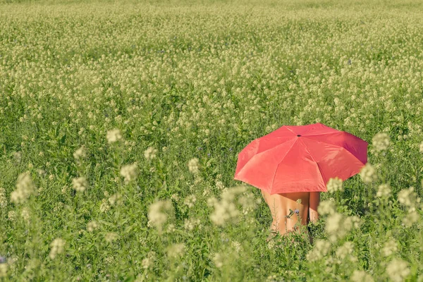 Femeie Tânără Goală Umbrelă Roșie Câmp Flori Galbene Într Însorită — Fotografie, imagine de stoc