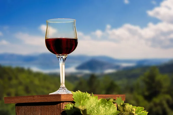 glass of red wine in a vineyard on the Kastoria town background. Greece
