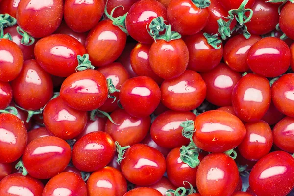 Hintergrund Kleiner Gewaschener Roter Tomaten — Stockfoto