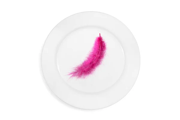 Top View Plate Pink Feather White Background Concept Healthy Light — Stock Photo, Image