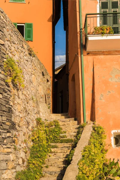 Vista Del Pueblo Costero Tellaro Lerici Italia — Foto de Stock