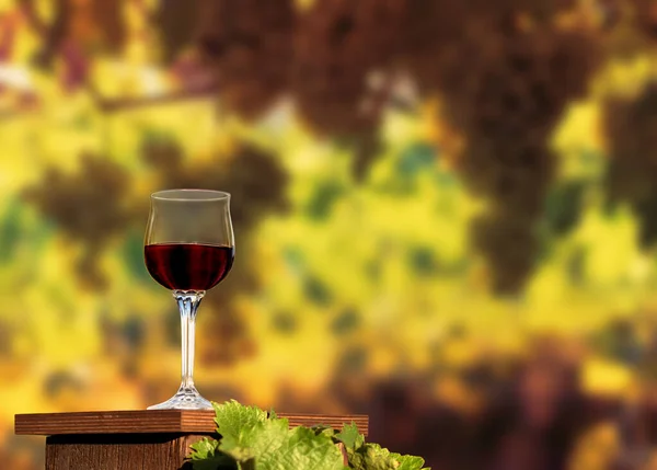 Copo Vinho Tinto Mesa — Fotografia de Stock