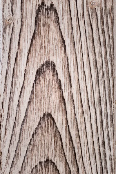 Fondo Madera Con Motivos Naturales — Foto de Stock