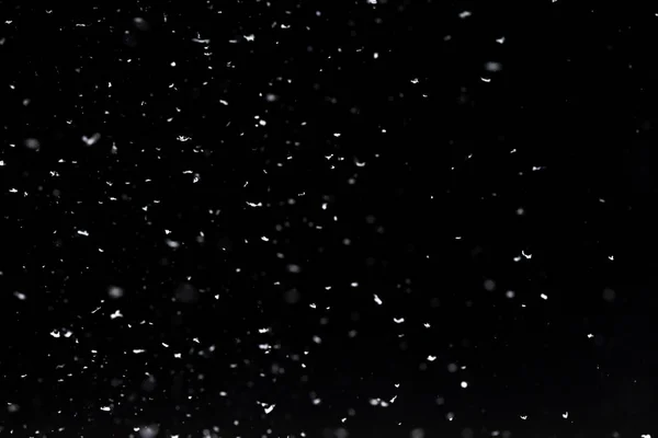 Geceleri Kar Yağıyor Siyah Arka Planda Bokeh Işıkları Havada Uçan — Stok fotoğraf