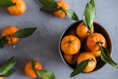 Gri beton arka plandaki küçük demir kovada Mandarinler