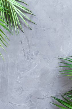 Gri beton arka planda kocaman palmiye yaprakları. Dikey