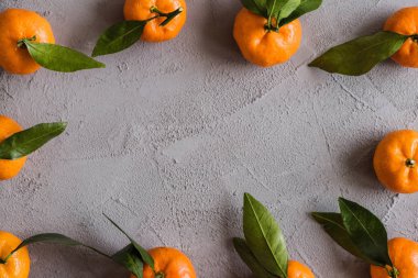 Gri beton arka planda Mandarinler. Durgun hayat. Düz yatıyordu 