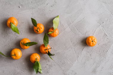 Gri beton arka planda Mandarinler. Durgun hayat. Düz yatıyordu 