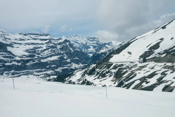 アレッシュ氷河に向かってジャングルの山の頂上からの眺め スイスのベルネーゼ オーバーランド — ストック写真