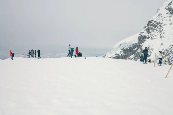 2015年5月2日 観光客がユングフラウ山の頂上を歩いています — ストック写真