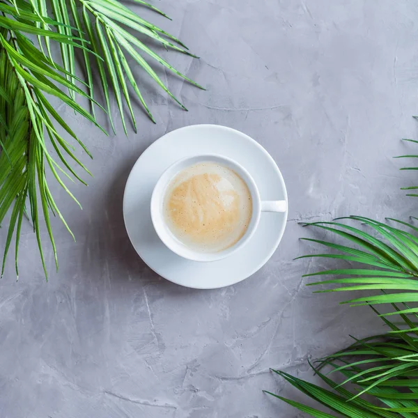 Cup coffee in palm branches and leaves on a grey concrete wall background.  Instagram. square