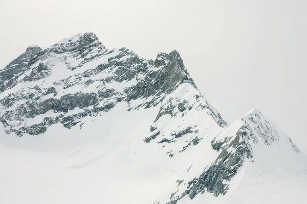 从准夫鲁山山顶向阿莱希冰川方向看去 Bernese Oberland 瑞士阿尔卑斯山 — 图库照片