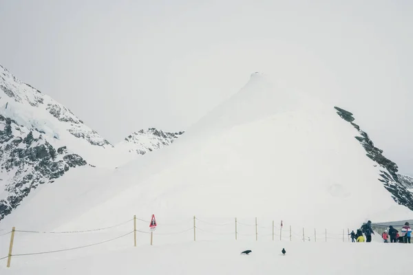 Pohled Vrcholku Hory Jungfrau Ledovec Aletsch Bernese Oberland Švýcarsko — Stock fotografie