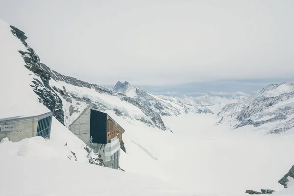 Blick Auf Den Größten Dschungel Gletscher Der Alpen — Stockfoto