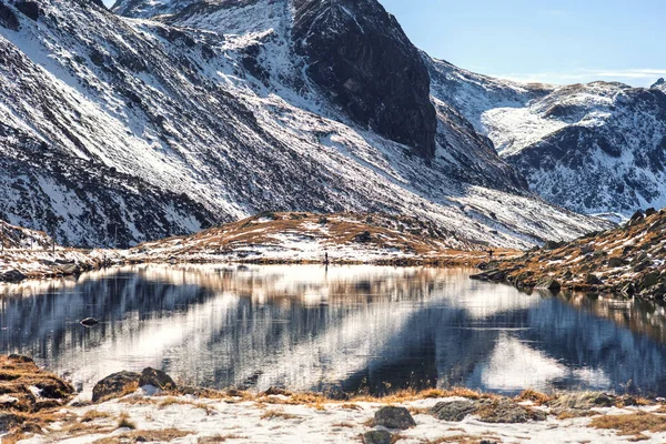 アレッシュ氷河に向かってジャングルの山の頂上からの眺め スイスのベルネーゼ オーバーランド — ストック写真