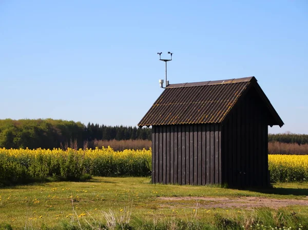Pequeña cabaña rural en el campo de violación amarillo —  Fotos de Stock