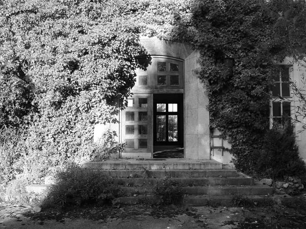 Puerta delantera de madera abierta en Abandon House con hierba silvestre — Foto de Stock