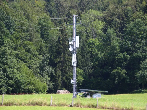 Распределительная мачта мобильного телефона с лесным фоном — стоковое фото