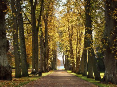 Geniş yürüyüş yolu Bulvarı'nda sonbahar renkleri