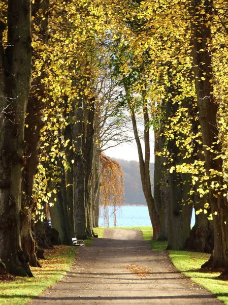 Ampio viale a piedi nei colori autunnali — Foto Stock