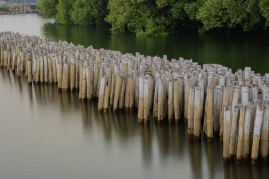 Bambu yığınları, Samut Sakhon, Tayland, İskele, Ahşap iskele, Bangkok yakınlarında, yansıma 