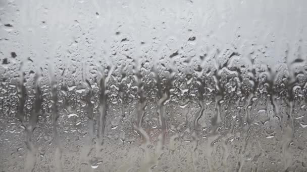 Heavy Rain Pours Window Water Jets Often Run Glass Autumn — Stock Video